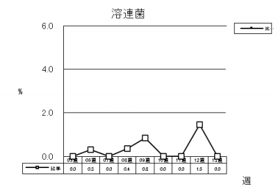 溶連菌