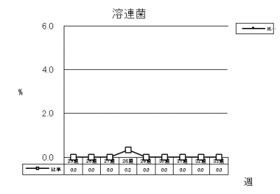 溶連菌