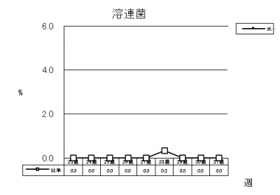 溶連菌