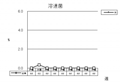 溶連菌