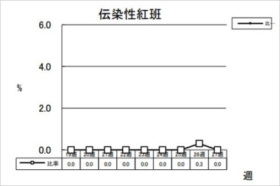 伝染性紅班