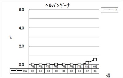 ヘルパンギーナ