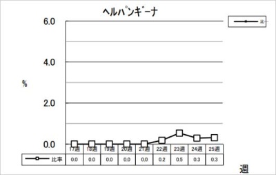 ヘルパンギーナ