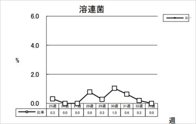 溶連菌