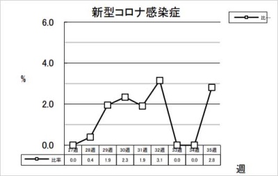 新型コロナ感染症