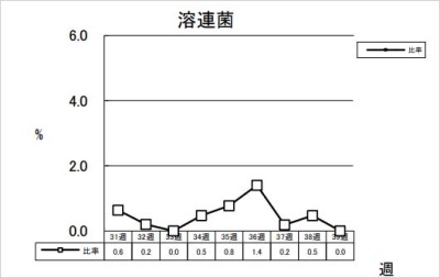 溶連菌