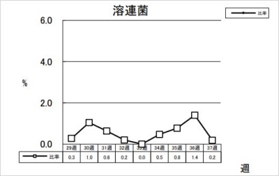 溶連菌