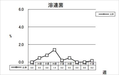 溶連菌