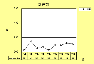 溶連菌