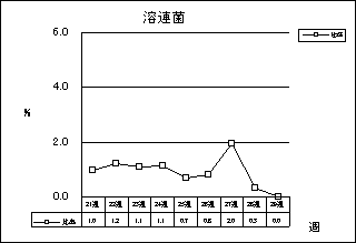 溶連菌