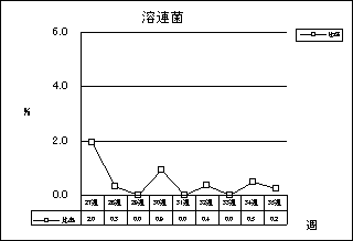 溶連菌