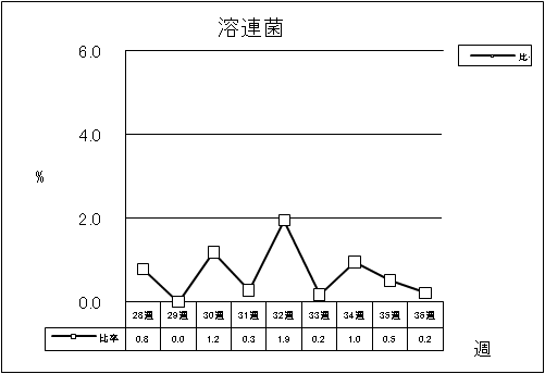 溶連菌