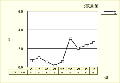 溶連菌