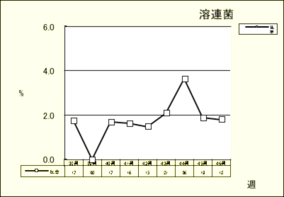 溶連菌